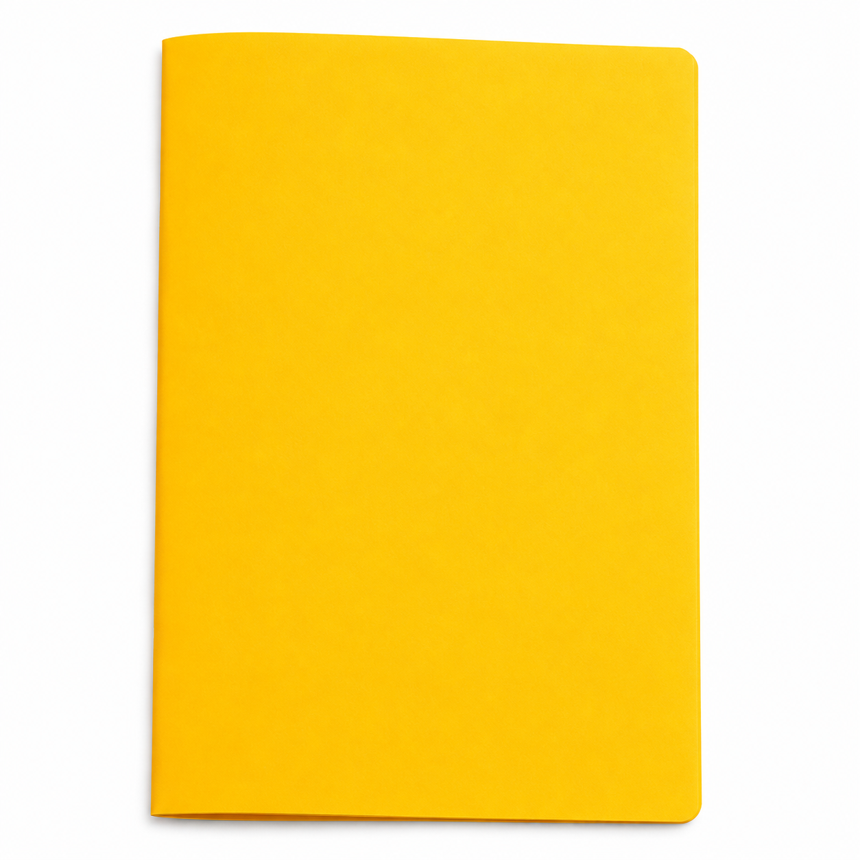 Multicolor Two-Pocket Plastic Document Folder
