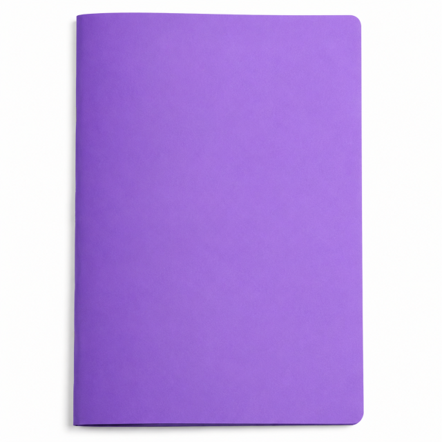 Multicolor Two-Pocket Plastic Document Folder