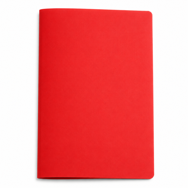 Multicolor Two-Pocket Plastic Document Folder