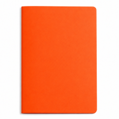 Multicolor Two-Pocket Plastic Document Folder