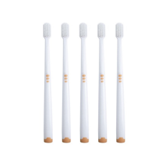 Soft-Bristled Travel Toothbrush