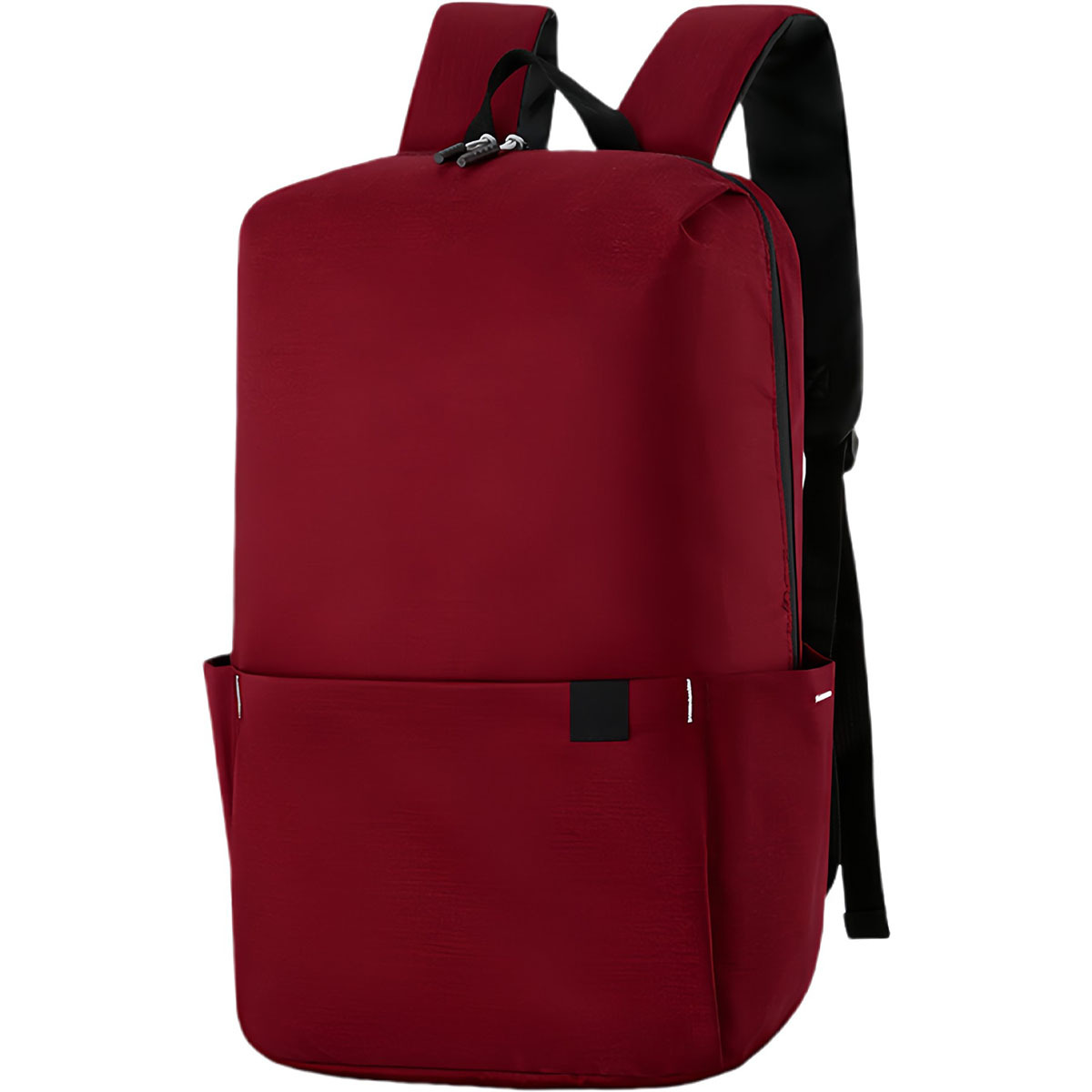 Travel Laptop Backpack