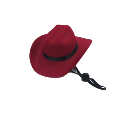 Western Cowboy Hat Style Pet Accessory