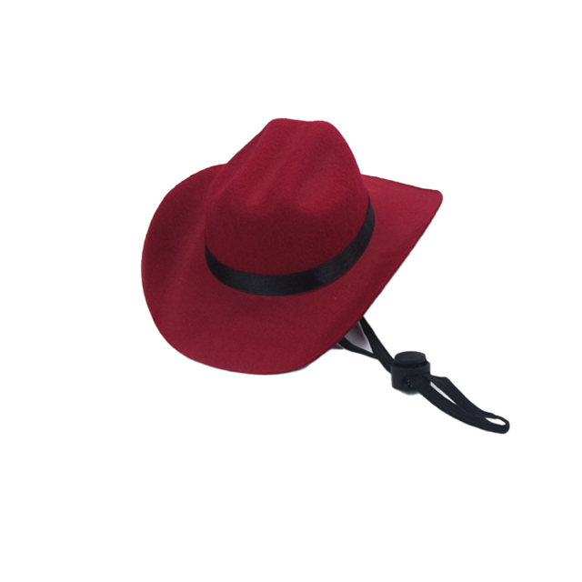 Western Cowboy Hat Style Pet Accessory