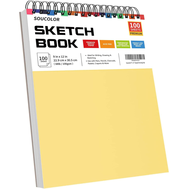 100-Sheet Spiral Bound Artist Sketchbook Pad
