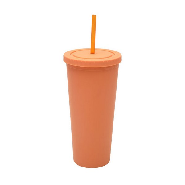 24 Oz Double-Layer Plastic Tumbler With Lid And Straw