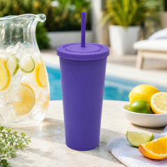 24 Oz Double-Layer Plastic Tumbler With Lid And Straw