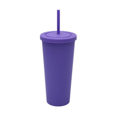 24 Oz Double-Layer Plastic Tumbler With Lid And Straw