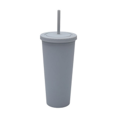 24 Oz Double-Layer Plastic Tumbler With Lid And Straw