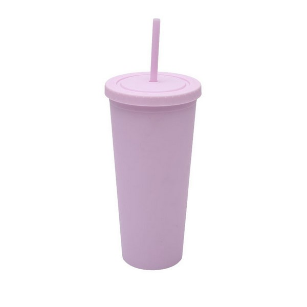 24 Oz Double-Layer Plastic Tumbler With Lid And Straw