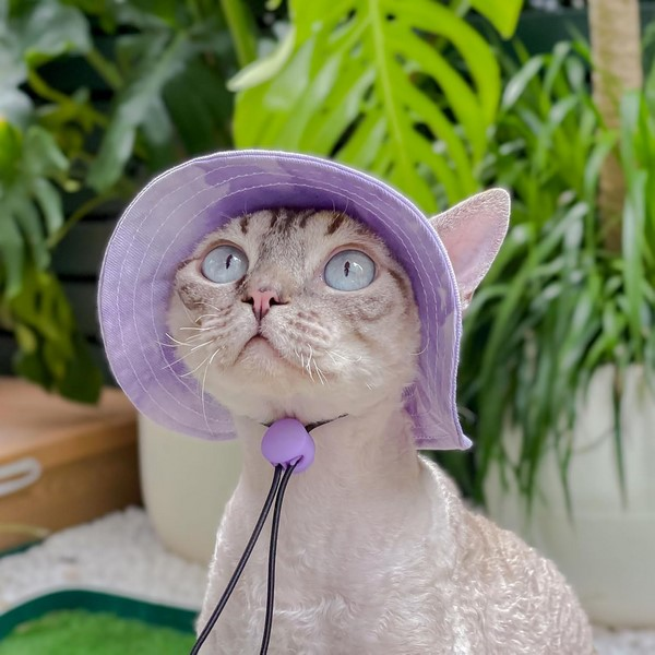 Adjustable Cotton Pet Sun Hat With Chin Cord