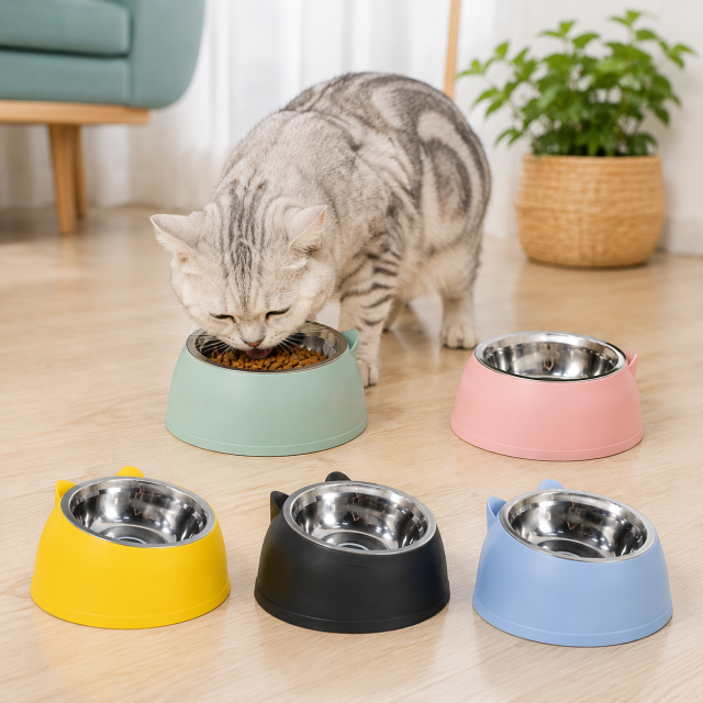Elevated Stainless Steel Bevel Pet Feeding Bowl