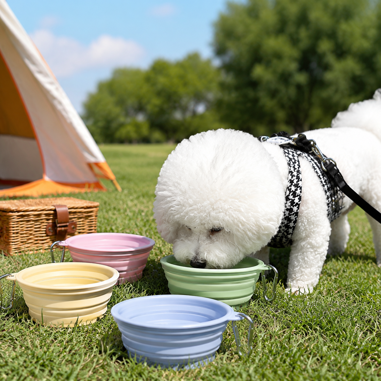 Pastel Foldable Silicone Pet Travel Bowls Set