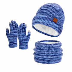 Winter Warm 3-Piece Gloves Set