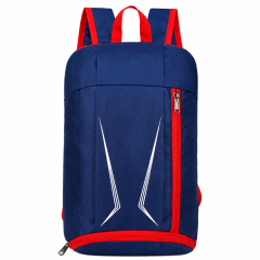 Foldable Lightweight Travel Backpack