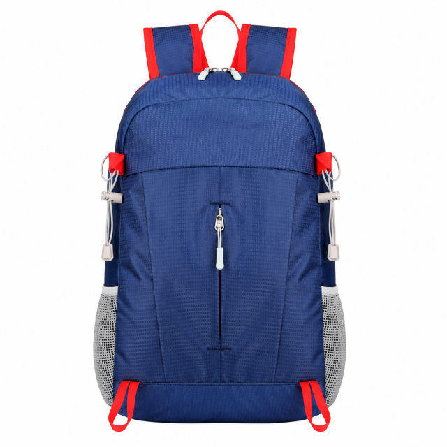 Foldable Waterproof Travel Backpack