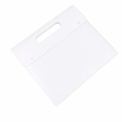 Frosted PP Plastic Snap File Bag