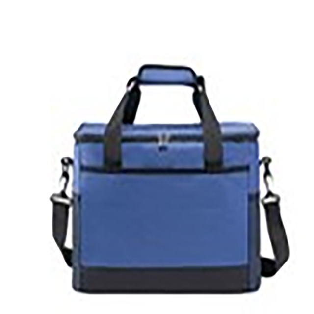 Insulated Picnic Cooler Bag