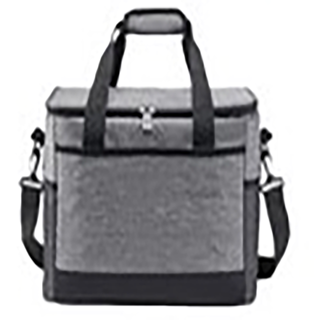 Insulated Picnic Cooler Bag