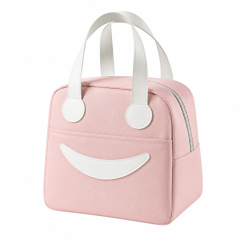 Premium Oxford Insulated Lunch Bag