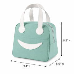 Premium Oxford Insulated Lunch Bag