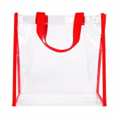 Transparent Everyday Tote Handbag