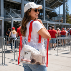 Transparent Everyday Tote Handbag