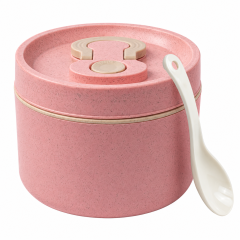 22 Oz Borosilicate Glass Food Storage Container