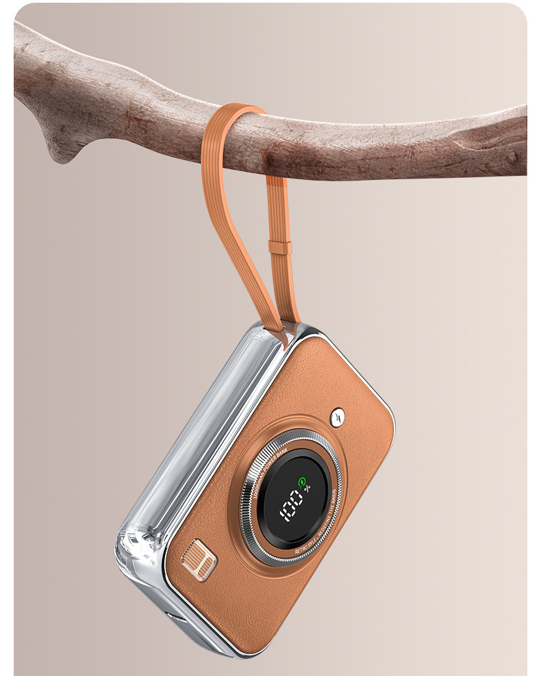 Camera Power Bank With Cables