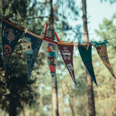 Felt Pennant Triangle Flags