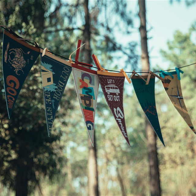 Felt Pennant Triangle Flags
