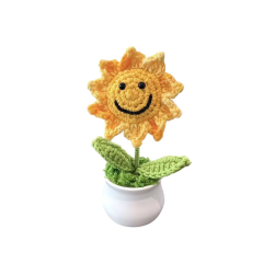 Handmade Flower Potted Gift