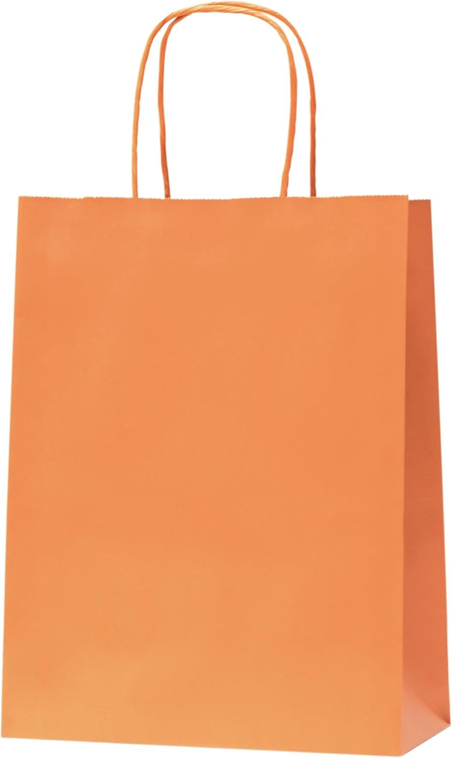 Kraft Paper Gift Bag With Handles