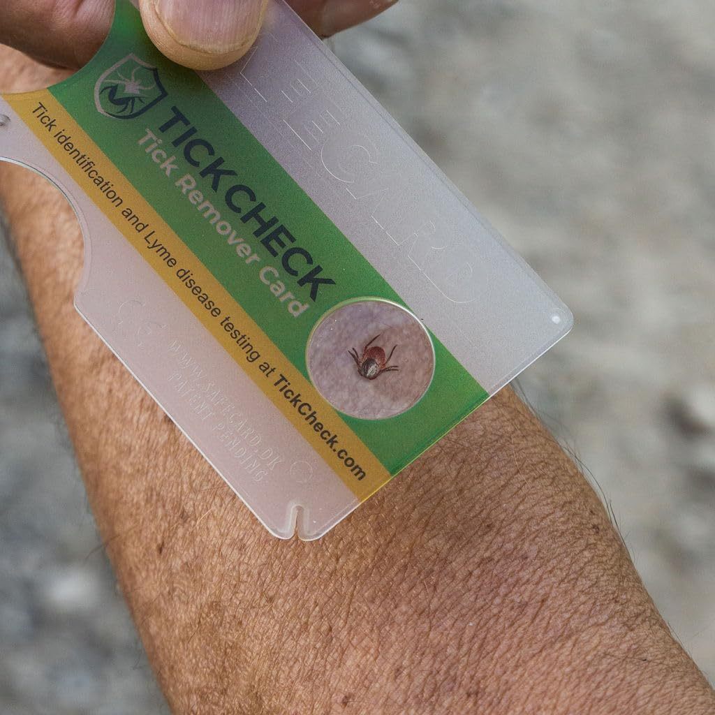 Lice Tick Detection Card With Magnifier