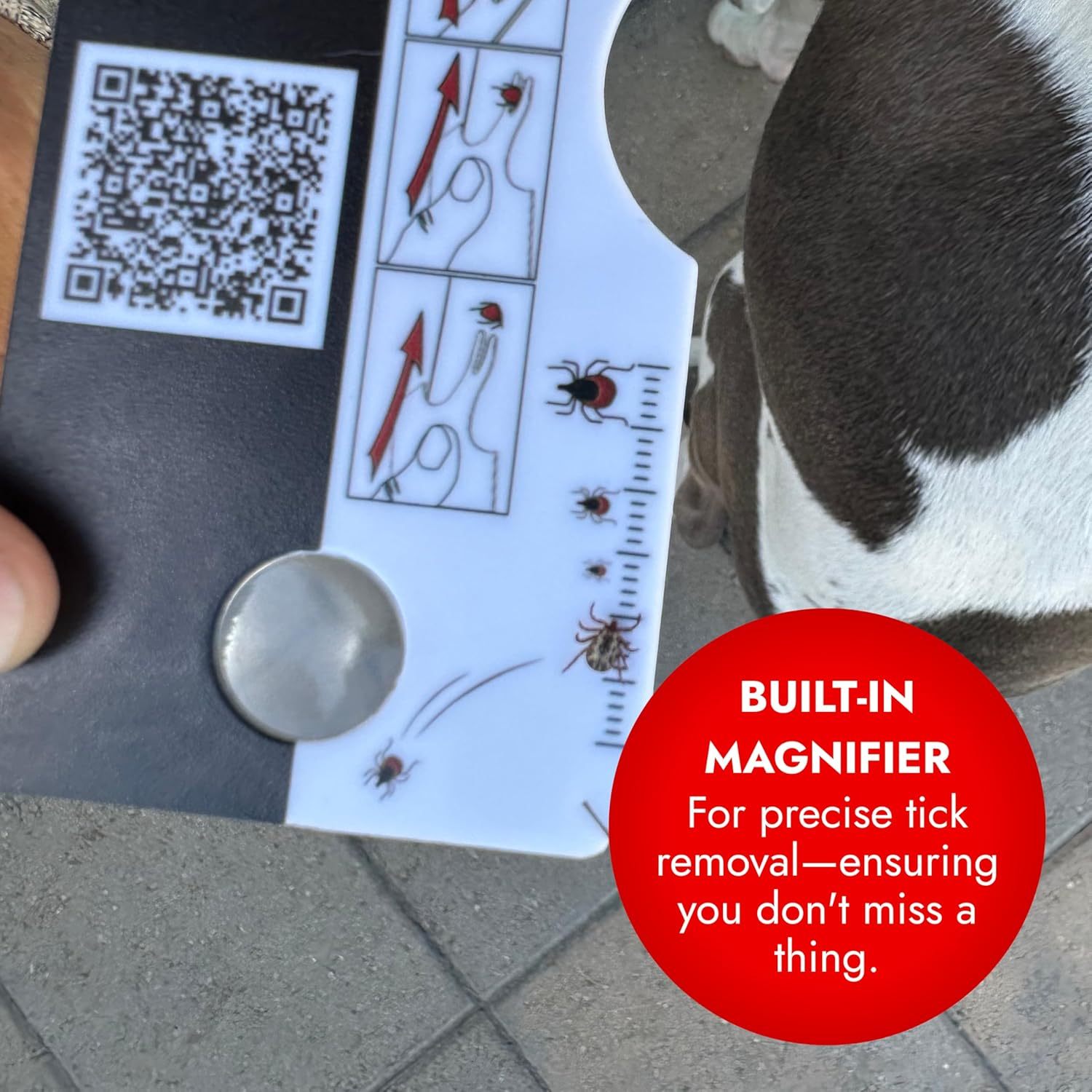 Lice Tick Detection Card With Magnifier