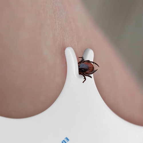 Lice Tick Detection Card With Magnifier