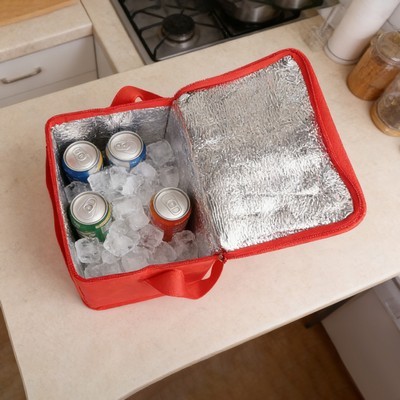 Non Woven Aluminum Foil Insulated Cooler Bag