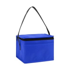 Non Woven Aluminum Foil Insulated Cooler Bag