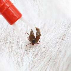 Pet Lice Flea Tick Remover Clipper Tool