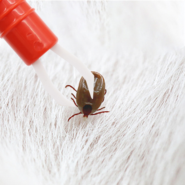 Pet Lice Flea Tick Remover Clipper Tool