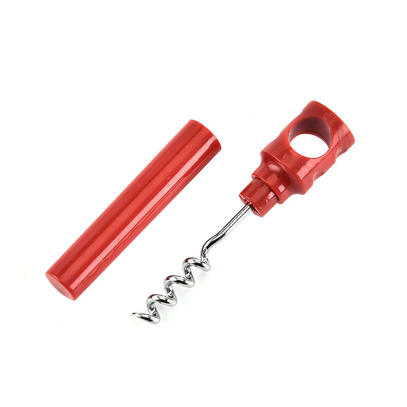 Simple Wine Bottle Opener Corkscrew Keychain
