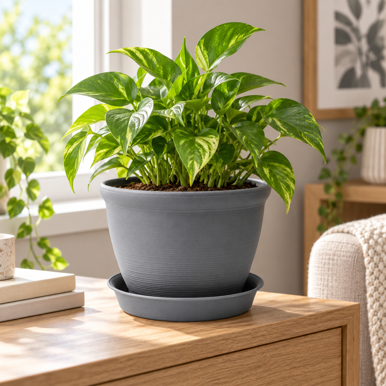 Textured Plastic Planter Pot With Drip Tray