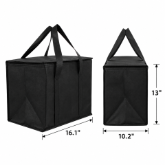 Compact Insulated Outdoor Cooler Tote Bag
