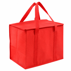 Compact Insulated Outdoor Cooler Tote Bag