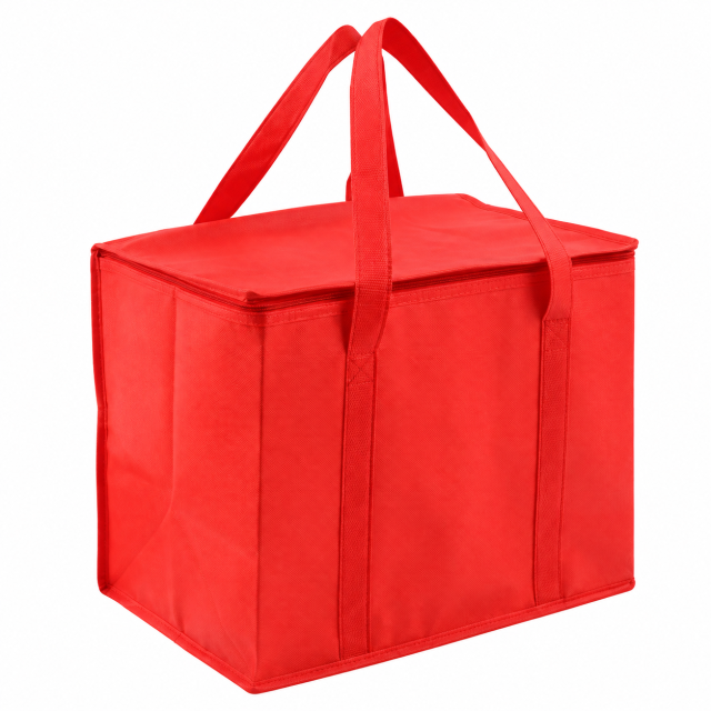 Compact Insulated Outdoor Cooler Tote Bag