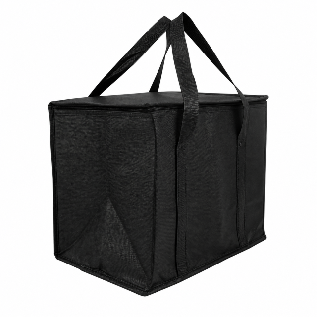Compact Insulated Outdoor Cooler Tote Bag
