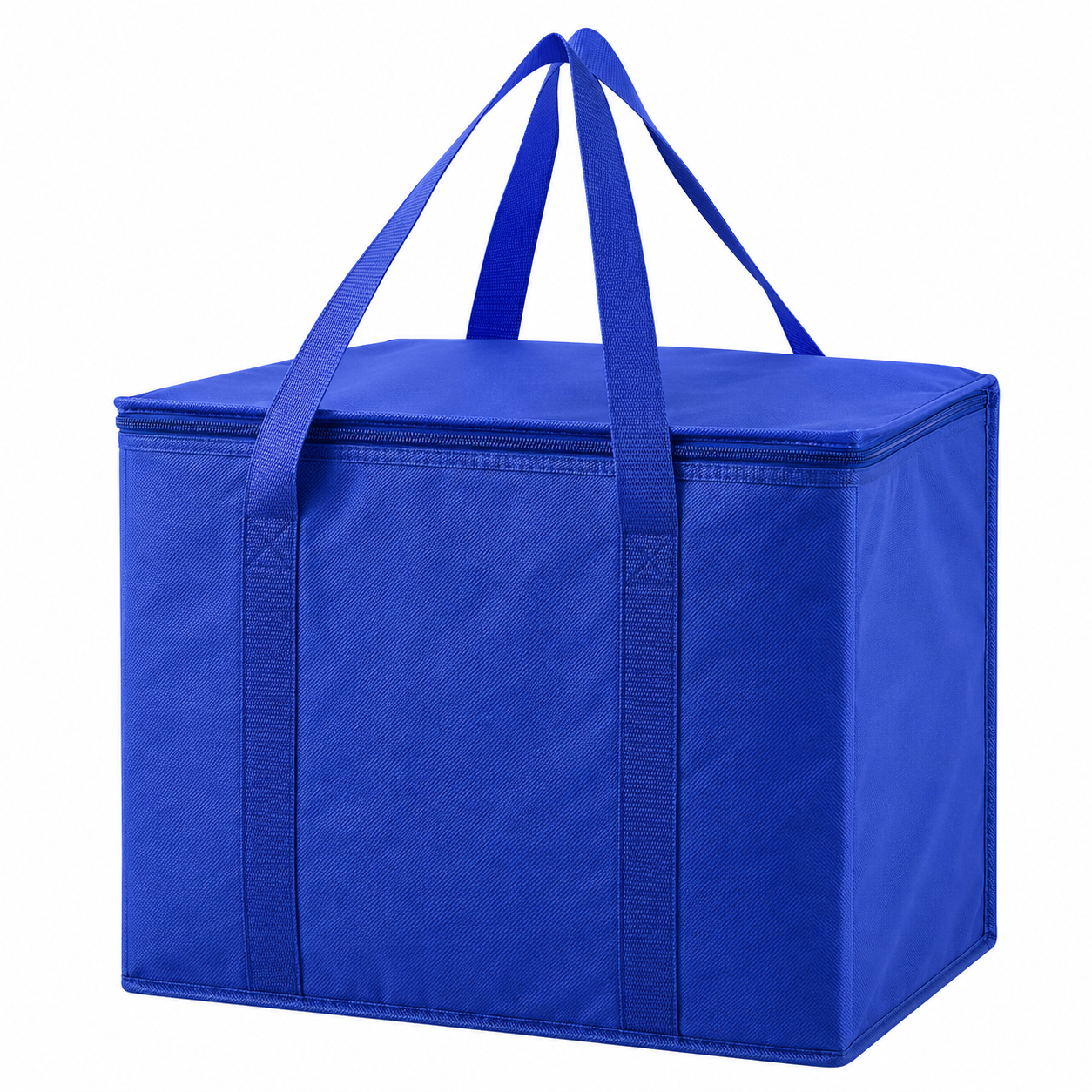 Compact Insulated Outdoor Cooler Tote Bag