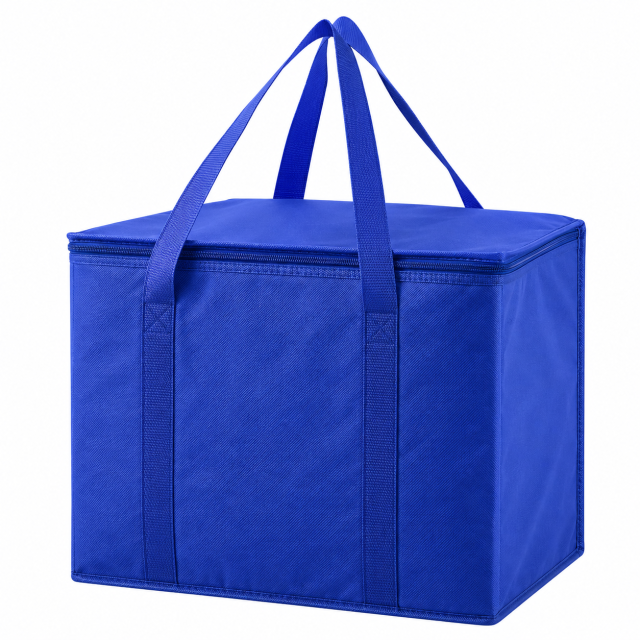 Compact Insulated Outdoor Cooler Tote Bag