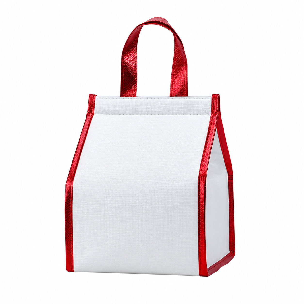 Insulated Food Delivery Cooler Tote Bag