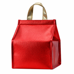 Insulated Food Delivery Cooler Tote Bag